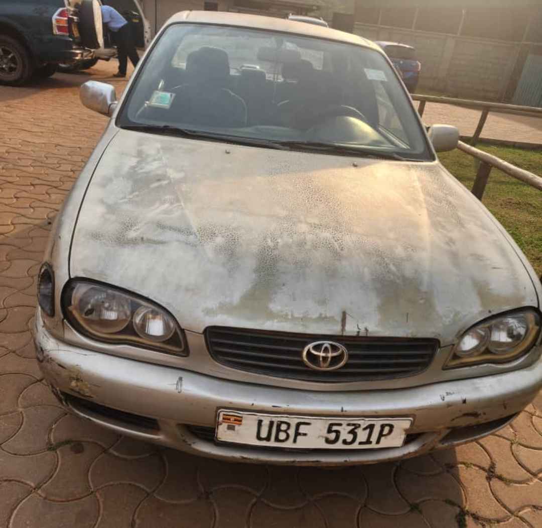 cars
