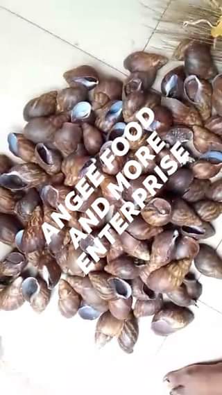 A picture of For ur well oven dry snail contact Angee food n