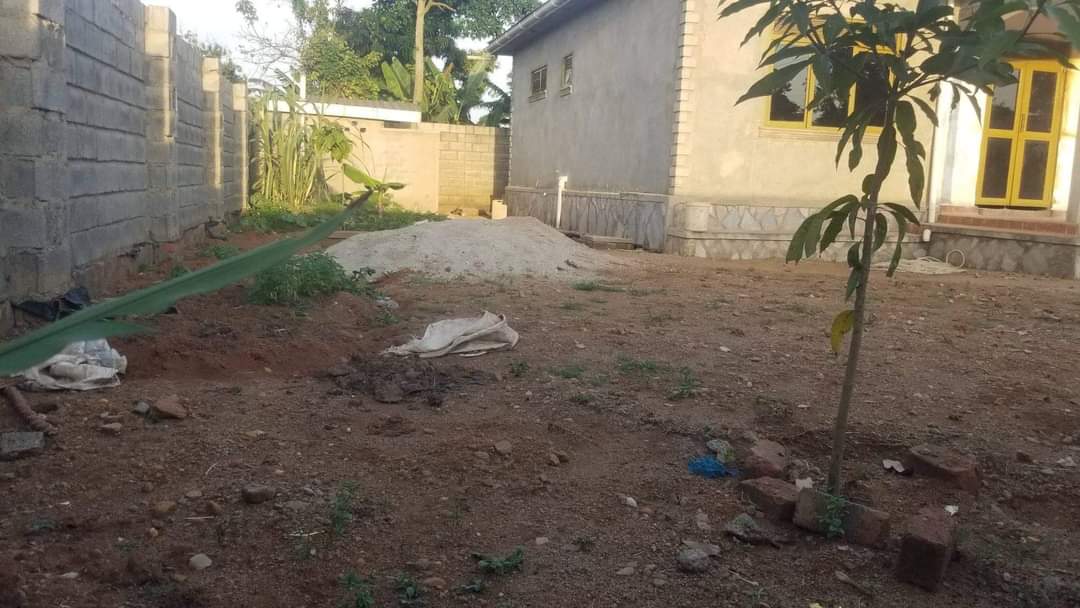 A picture of 3 bedroom house