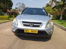 used honda crv