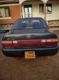 A picture of Toyota Corolla kikumi