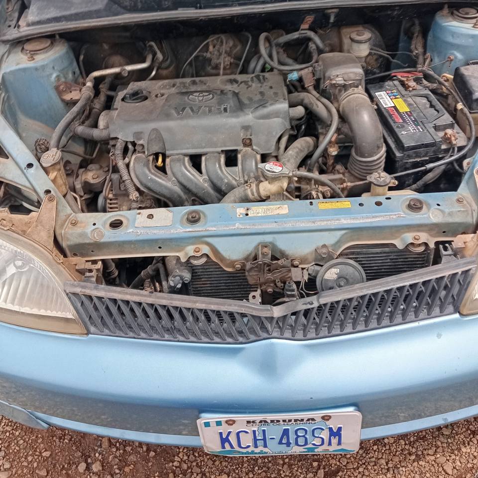 A picture of 01