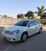 used toyota allion