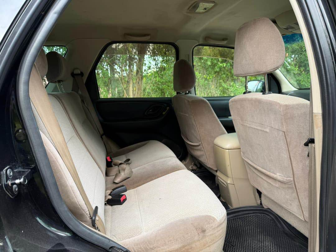 A picture of Ford escape
