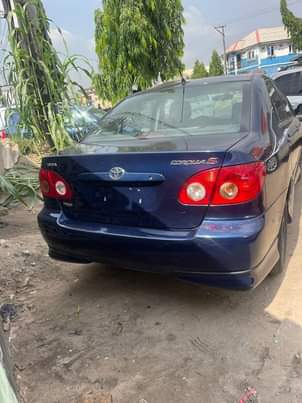 A picture of This car just land today never wash 2008 Toyota Corolla