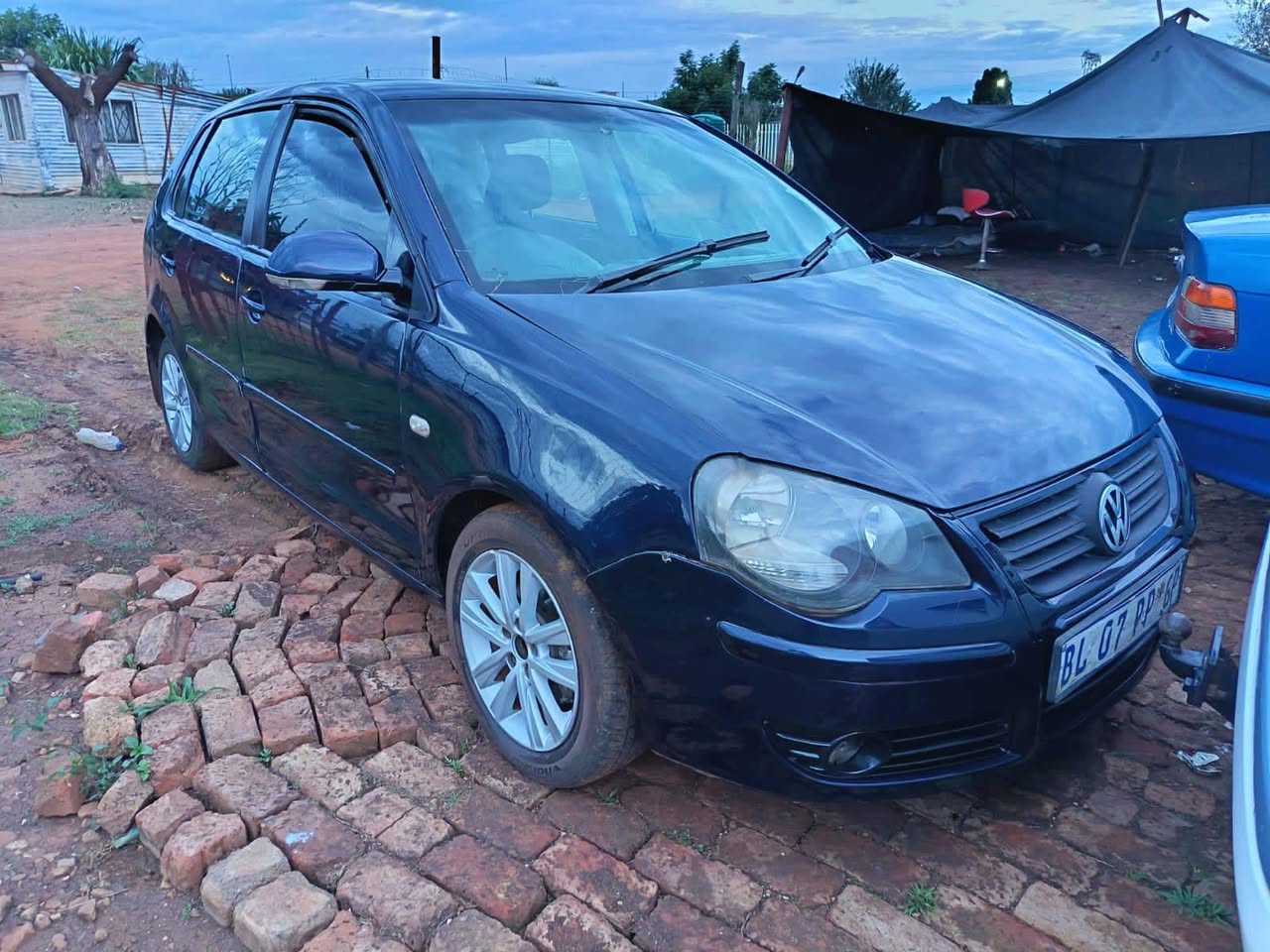 polo bujwa