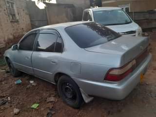 A picture of Kikumi manual