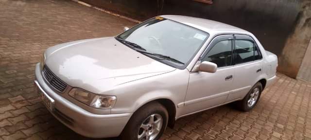 A picture of 13milions 0751886017