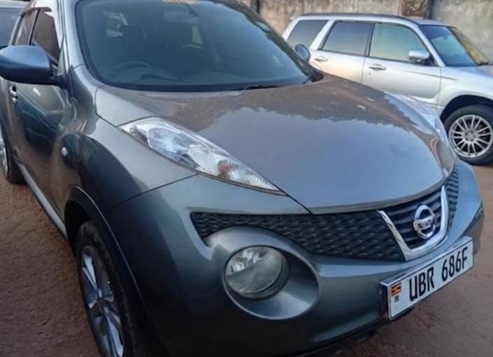 A picture of Nissan Juke 2011 Gray