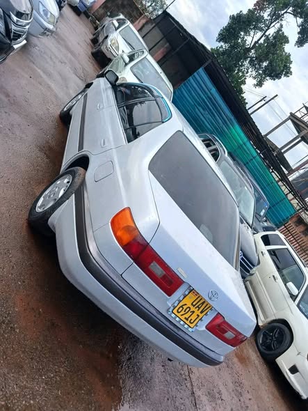 A picture of Premio 13m 0757229773