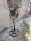 A picture of Feni na pasi