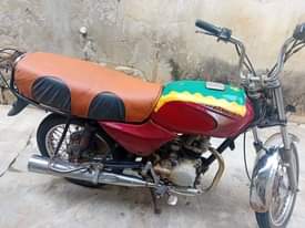 A picture of 2024 Bajaj Boxer