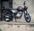 A picture of Boxer 125