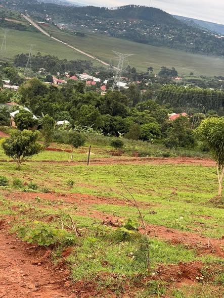 A picture of Mpigi Mpambire plots at 15M UGX installment allowed Ready titles