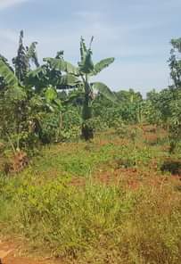 A picture of Land