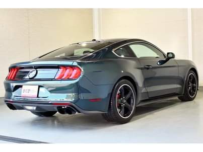 A picture of Ford Mustang USA