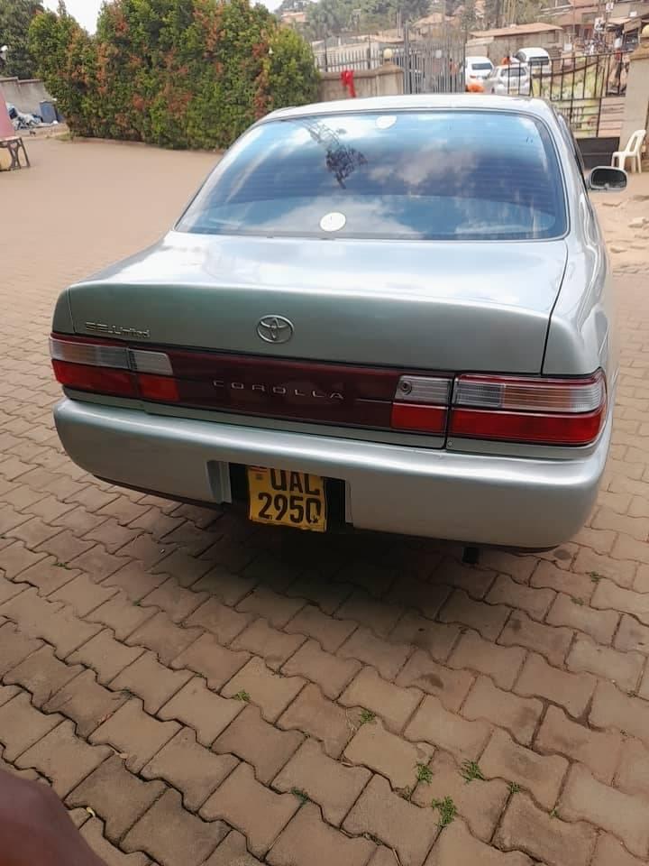 A picture of Totoyo corolla