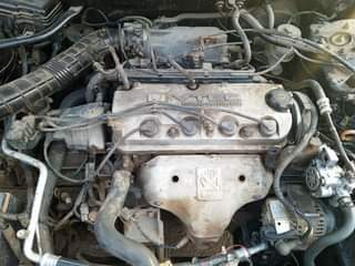 A picture of Honda Accord 2002 baby boy
