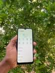 A picture of Infinix Hot 10i