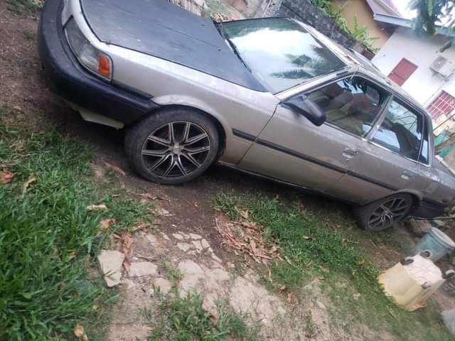 Old M.