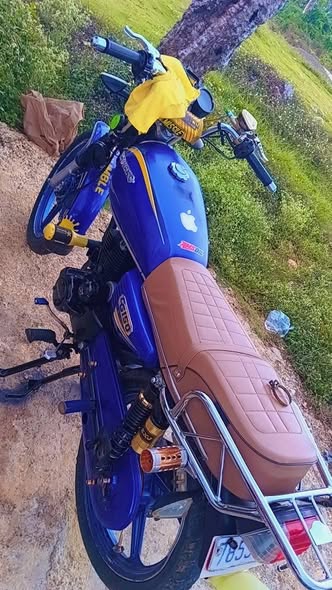 bikes