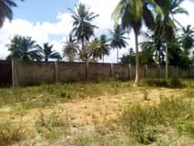 A picture of Yard inauzwa
