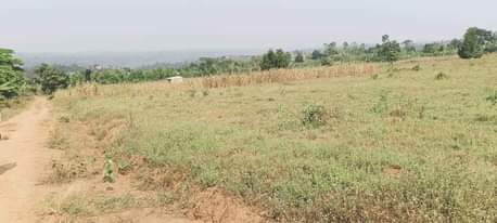 A picture of ESTATE LOCATED WAKISO GOBERO