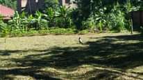A picture of Land for sell entebbe garuga road near katomi kingdom resort