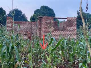 A picture of Plots of land