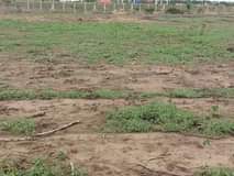 A picture of Kiwanja kinauzwa kipo mizani dakawa bei milioni mbili