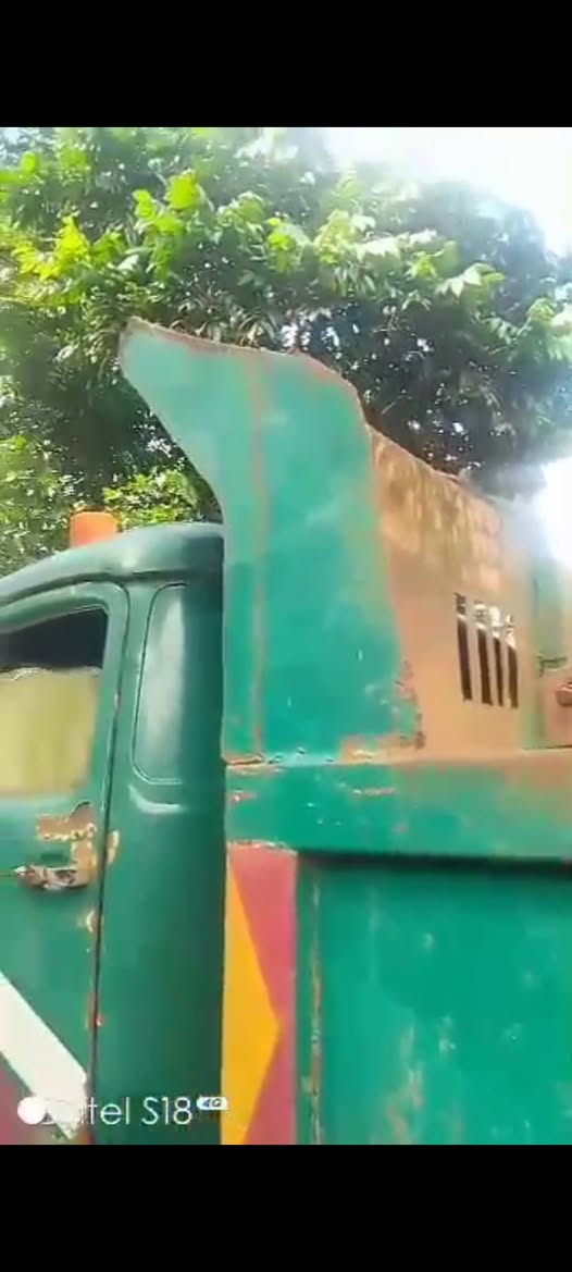 A picture of Mercedes Tipper