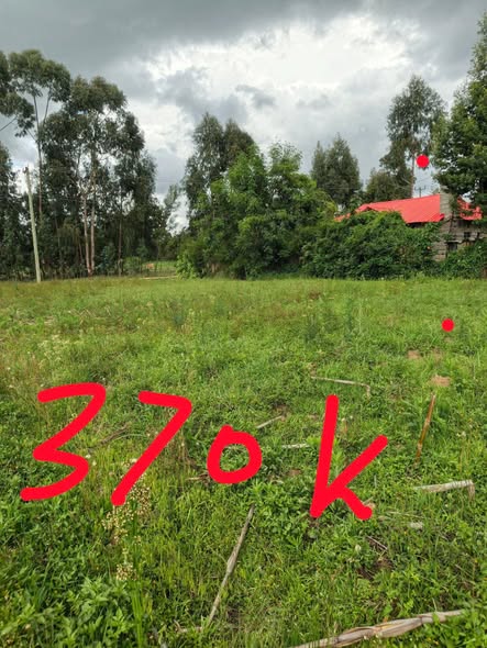 50 100 plots