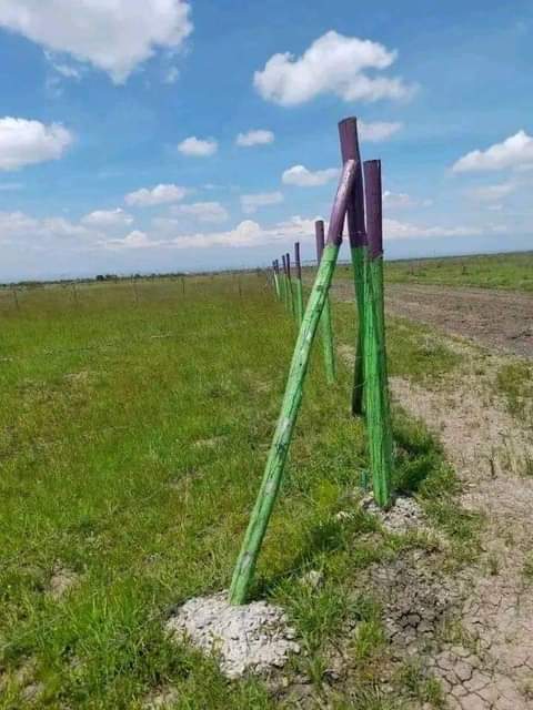 50 100 plots