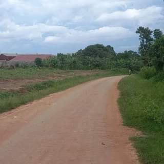 houses matugga