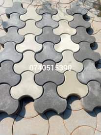 A picture of Designer pavers