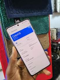 A picture of Oppo Reno11 5G 256GB