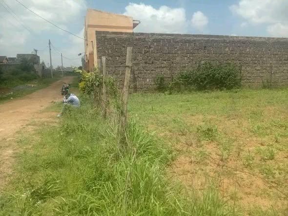 houses thika