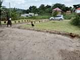 A picture of House at Bujuuko Mityana road