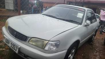 A picture of Corolla