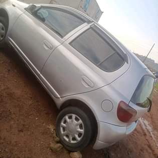 A picture of Vitz