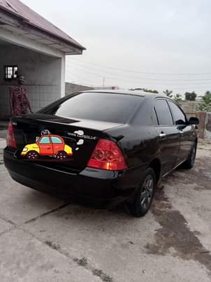 A picture of Corolla Bank Type