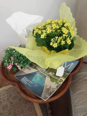 flowers