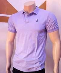 A picture of Polo t.shirts