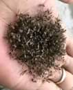 A picture of Mosquito killer machine zimewasili tena 0687369088