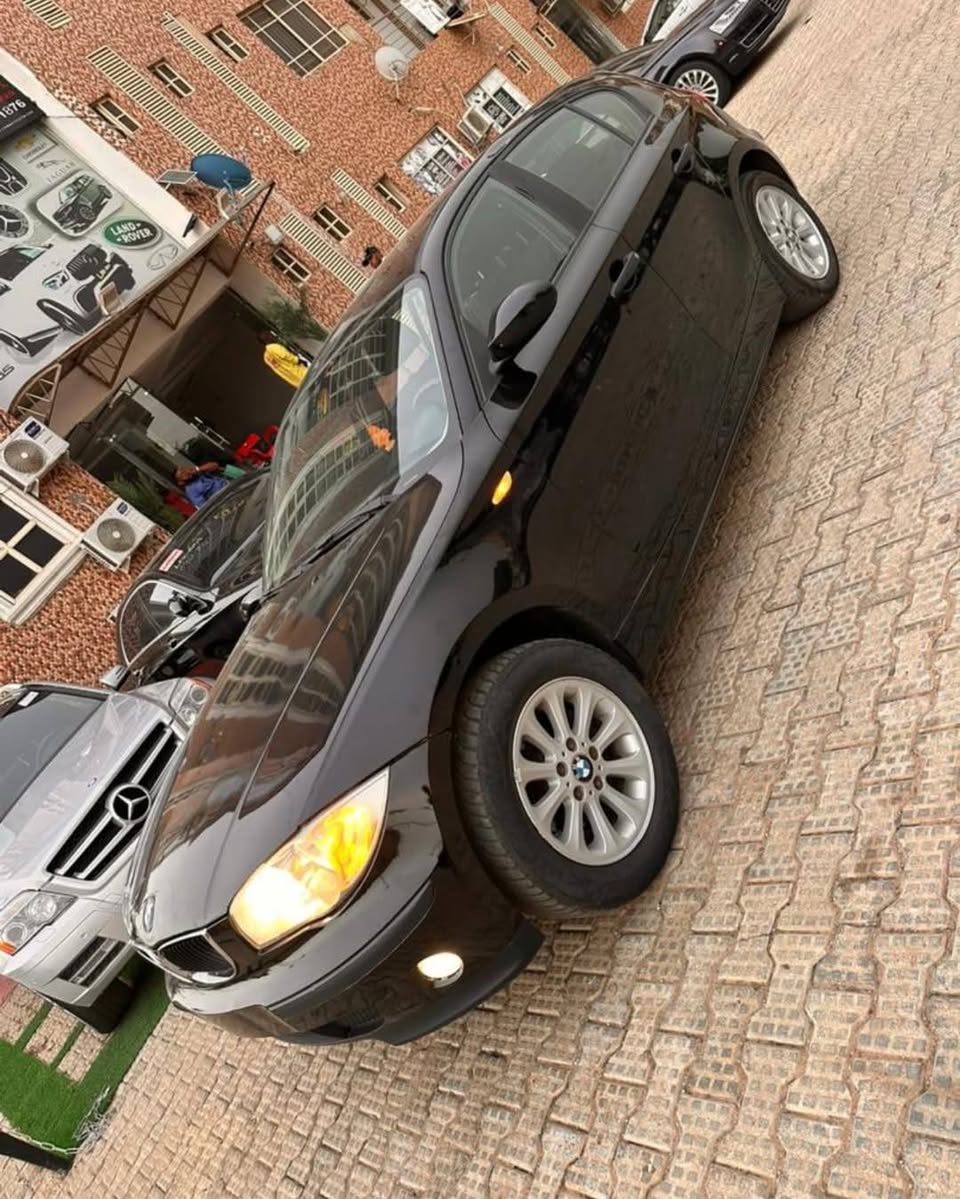 A picture of BMW 116i 2010