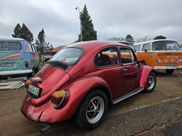 vw beetle