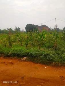 A picture of 2acres in kawempe tula