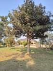 A picture of House for sale