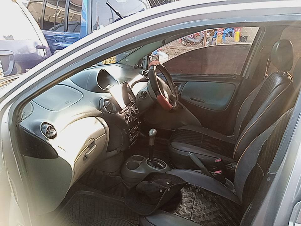 A picture of Vitz