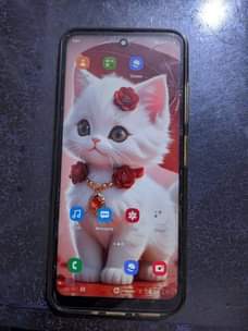 A picture of Phone